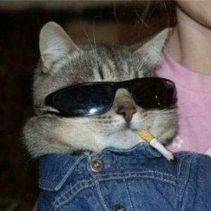 Meet your Posher, Katie